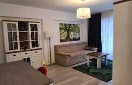 Apartament de 3 camere, gradina superba 60 mp, loc de parcare, zona Baneasa