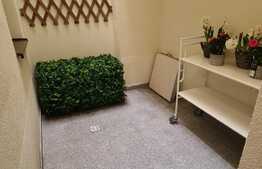 Apartament de 3 camere, gradina superba 60 mp, loc de parcare, zona Baneasa