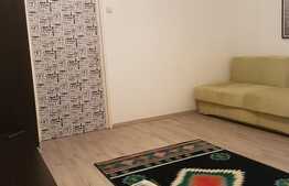 Garsoniera 18 mp, mobilata/utilata, in zona Controceni