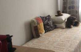 Garsoniera moderna, 21 mp, zona Vitan