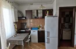Apartament 2 camere, 55 mp, zona Vitan