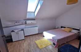 Apartament 2 camere, 55 mp, zona Vitan