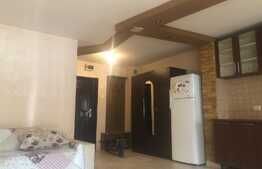 Apartament de 1 camera, zona Vitan