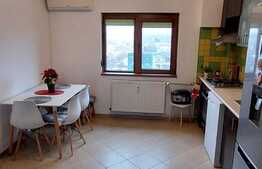 Apartament de 2 camere, 61 mp, mobilat/utilat, zona 13 Septembrie