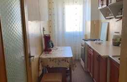 Apartament 1 camera, 42 mp, mobilat/utilat, zona 13 Septembrie