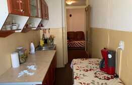 Apartament 1 camera, 42 mp, mobilat/utilat, zona 13 Septembrie