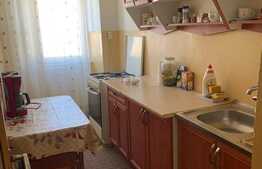 Apartament 1 camera, 42 mp, mobilat/utilat, zona 13 Septembrie