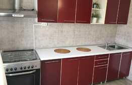 Apartament 2 camere, 64 mp, mobilat/utilat, zona Vitan