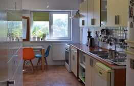 Apartament modern, 4 camere, 103 mp, Splaiul Unirii 