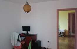 Apartament 2 camere, 46 mp, zona Gara de Nord