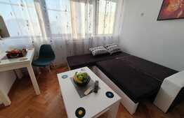 Apartament de 2 camere, 32 mp, zona Gara de Nord