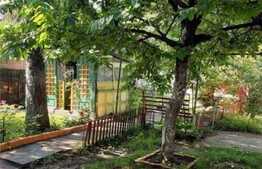 Apartament de 2 camere, 55 mp, zona Giulesti