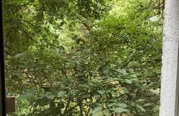 Garsoniera luminoasa, 21 mp, Lucretiu Patrascanu