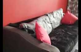 Apartament 2 camere, 53 mp, etaj intermediar, zona Vitan