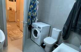 Apartament 2 camere, 55 mp, terasa 7 mp, Grozavesti
