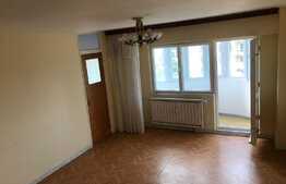 Garsoniera spatioasa, 40 mp, Costin Georgian