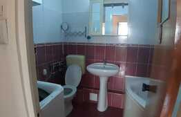 Apartament de 2 camere, 53 mp, decomandat, zona Campia Libertatii