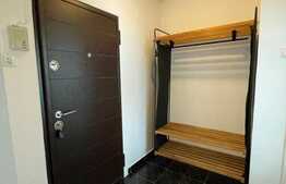 Apartament 2 camere, 51 mp, etaj intermediar, Pantelimon