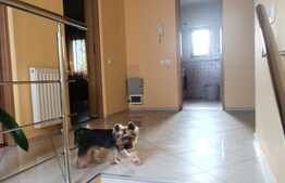 Casa Individuala, 6 Camere, 295mp, teren 325 mp,  Fundeni