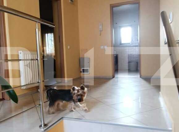 Casa de vânzare 6 camere Fundeni - 93773CV | BLITZ București | Poza14