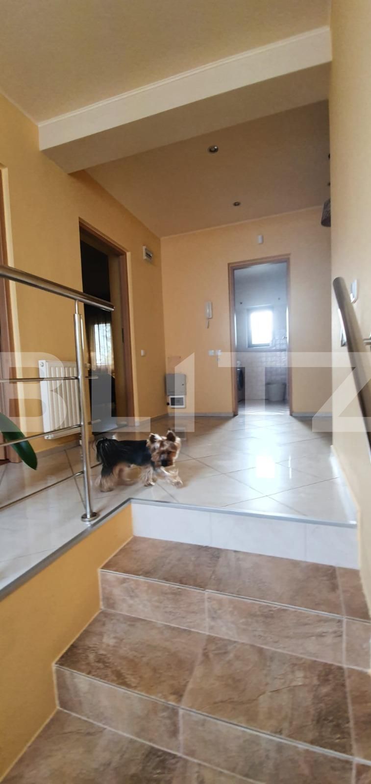 Casa de vânzare 6 camere Fundeni - 93773CV | BLITZ București | Poza14
