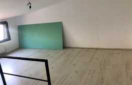  Casa de 3 apartamente, 170 mp utili, 160 mp teren, Sos Chitilei