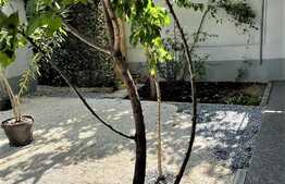 Casa tip townhouse, 196 mp, teren 55 mp, garaj, Crangasi