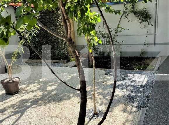 Casa de vânzare 6 camere Crangasi - 93876CV | BLITZ București | Poza12