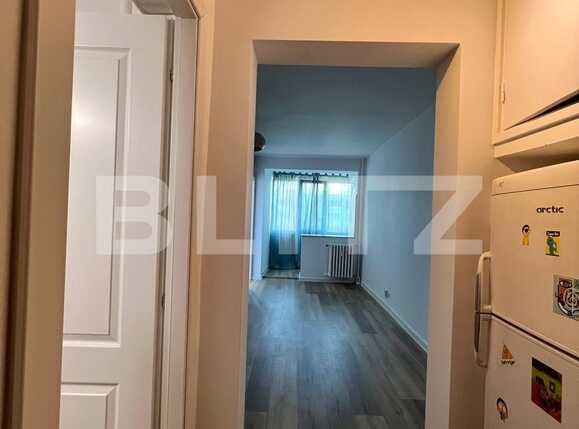 Garsoniera de vanzare Dristor, investitie, Garsoniera aproape de metrou | Poza6