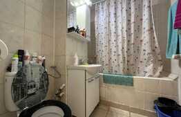 Garsoniera cocheta, 33 mp, etaj intermediar, zona Auchan Titan 