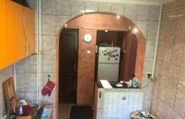 Apartament 2 camere, luminos, 50 mp, Costin Georgian