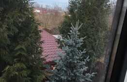 Vila 1896 mp, curte superba, garaj, foisor, in Frumusani