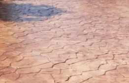 Vila 1896 mp, curte superba, garaj, foisor, in Frumusani