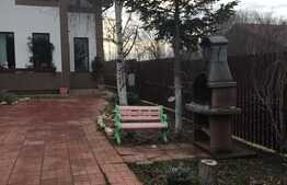 Vila 1896 mp, curte superba, garaj, foisor, in Frumusani