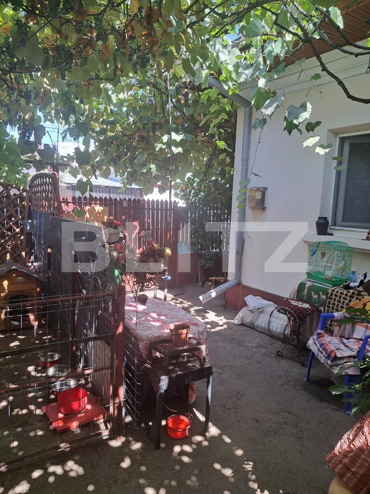 Casa de vânzare 3 camere Pantelimon - 94153CV | BLITZ București | Poza1