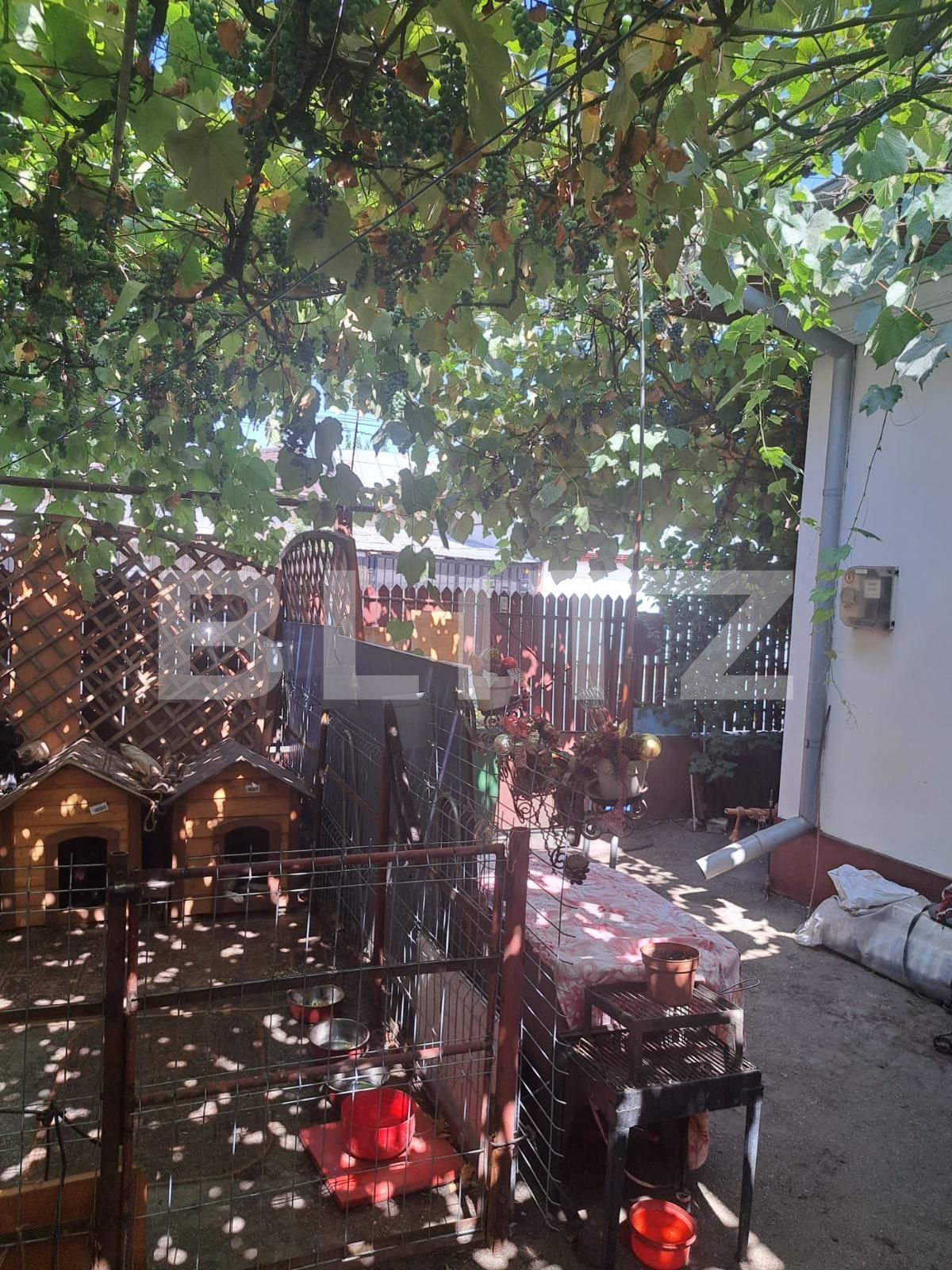 Casa de vânzare 3 camere Pantelimon - 94153CV | BLITZ București | Poza2