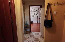 Apartament 2 camere, 40 mp, etaj intermediar, Lujerului