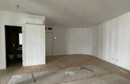 Apartament de 2 camere, 50mp, cu gradina, zona Unirii 