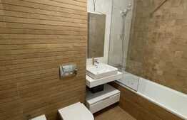 Apartament de 2 camere, 50mp, cu gradina, zona Unirii 