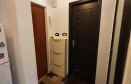 Apartament 2 camere, 40mp, Codrii Neamtului, zona Titan.