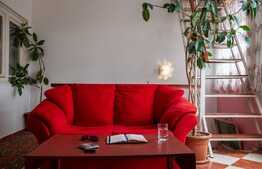 Casa cu spatiu comercial, 210 mp, in zona Rahova