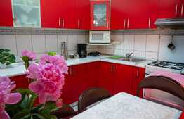 Casa cu spatiu comercial, 210 mp, in zona Rahova