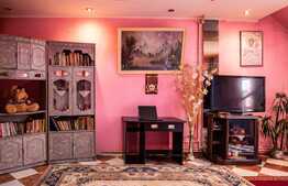 Casa cu spatiu comercial, 210 mp, in zona Rahova