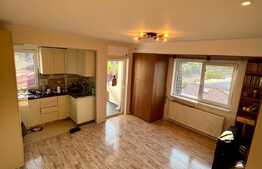 Apartament de 3 camere decomandat, centrala proprie, 76 mp, Vitan