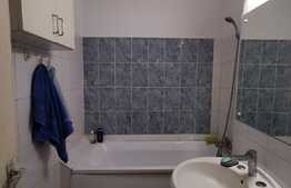 Oportunitate investiție! Apartament de 2 camere, etaj intermediar, zona 1 Mai