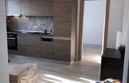 Studio dublu, 38 mp, Grozavesti