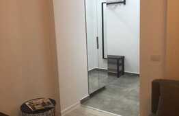 Studio dublu, 38 mp, Grozavesti