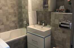 Studio dublu, 38 mp, Grozavesti