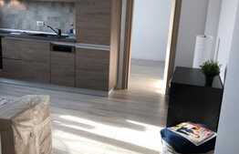 Studio dublu, 38 mp, Grozavesti