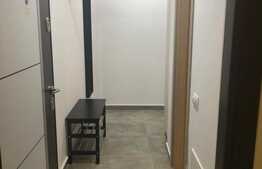 Studio dublu, 38 mp, Grozavesti